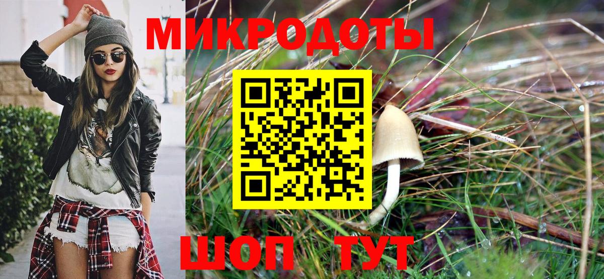 Грозный  закладки  Вход с VPN  Галлюциногенные грибы Psilocybe 